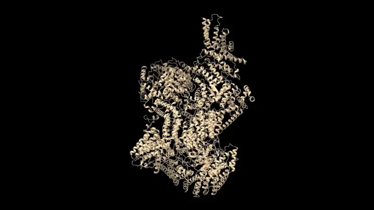 A Practical Guide to GPU-Initiated Communication for Molecular Dynamics at Scale